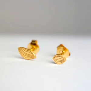 Seeds x Atelier Mouti